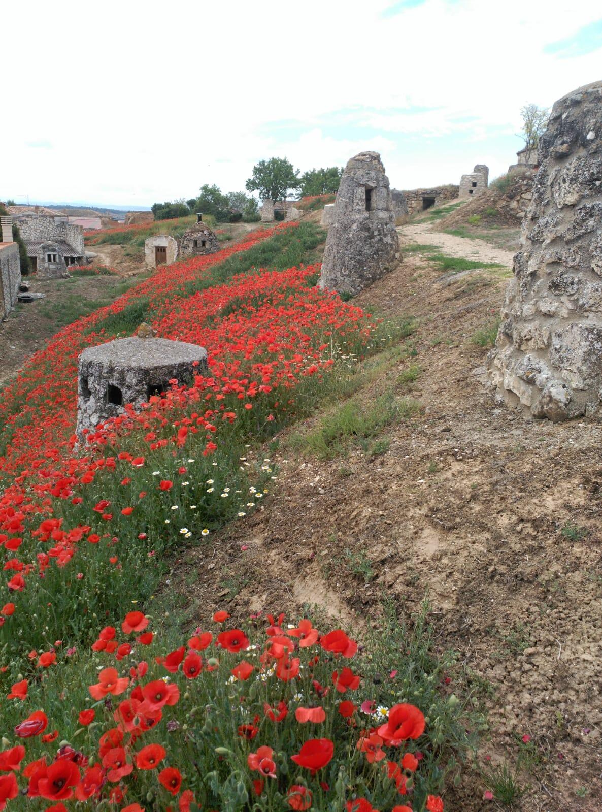 Turismo en Castilla y León