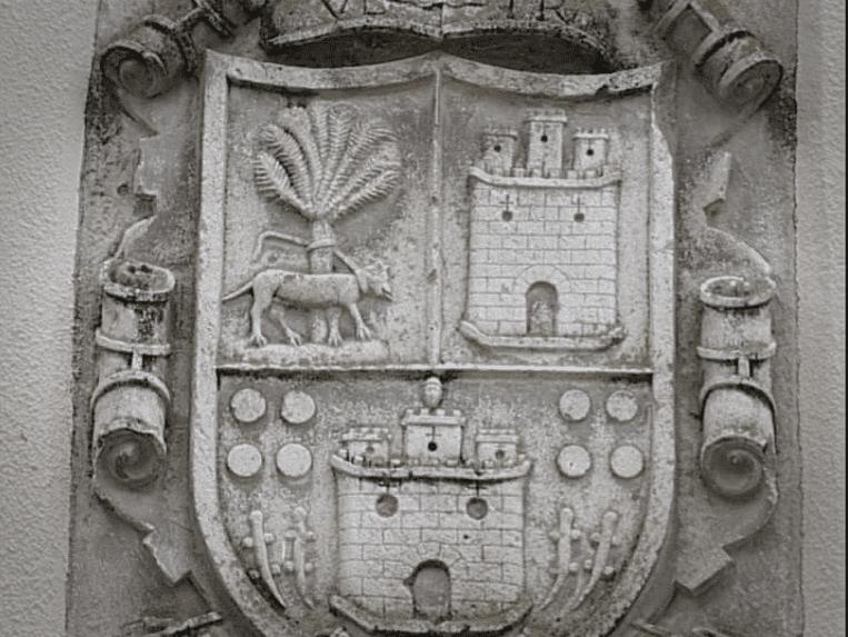 Fotografía de la galería de imágenes con id: 852